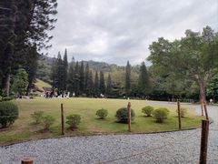 -深圳仙湖植物园