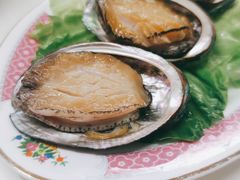鲜鲍鱼-燃计沙茶皇·香港沙茶火锅(人广旗舰店)