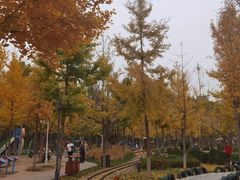 -静之湖度假区