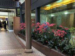 -复旦大学附属中山医院(西院区)