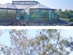-中国科学院华南植物园