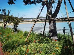 -宁波松兰山滨海旅游度假区