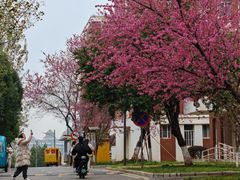 -云南大学滇池学院