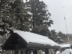 -北海道神宫