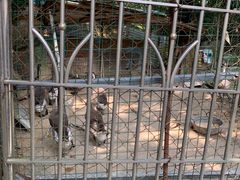 -洞背山庄(洞背院区式管理小区店)