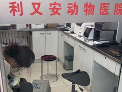 -利又安动物医院··老年病·猫科犬科·中兽医