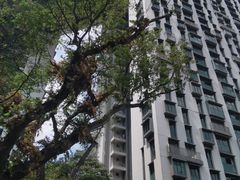 -达士岭