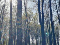 -石家庄市植物园