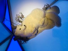 -贝林大翅鲸简餐厅(国家海洋博物馆店)