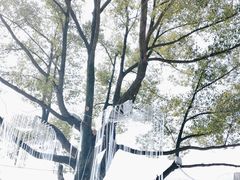 -柯岩风景区