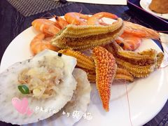 扇贝-东方红海鲜百汇(国际大厦店)