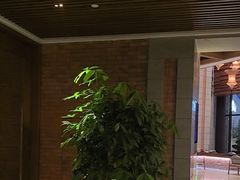 -浅深Cheersum(曹杨店)