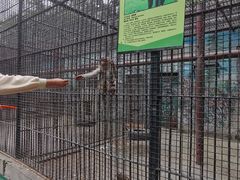 -保定市动物园