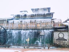 -呀路古热带植物园