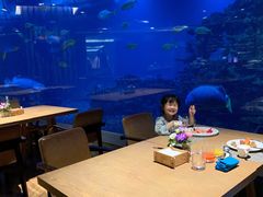 -海棠湾洲际-涛·海底餐厅·美人鱼·自助餐·海底隧道