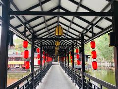 -侨美·唐荔园·40年地道粤菜