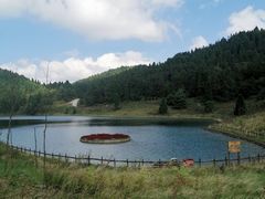 -武陵山森林公园