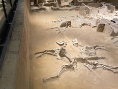 -洛阳周王城天子驾六博物馆