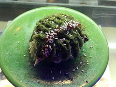 -海口骑楼小吃街