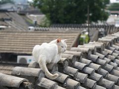 -前叁門