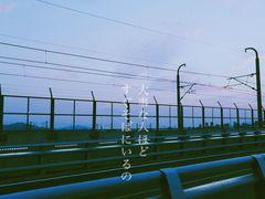 -海堤纪念公园