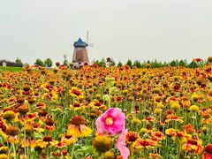 -君乐宝优致牧场