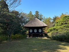 -奈良公园