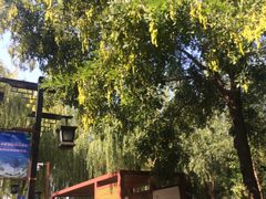 -西安汉城湖景区