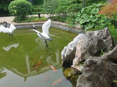 -广富林宰相府酒店·水云间