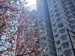 -玛格萝妮比萨屋(四平店)