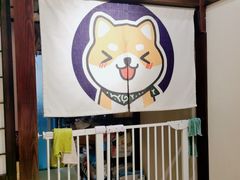 -逗柴咖啡屋·狗咖猫咖宠物桌游