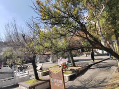 -大理文庙(大理古城)