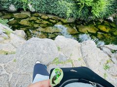-趵突泉景区
