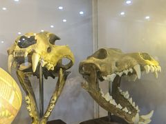 -游龙石文化科普馆
