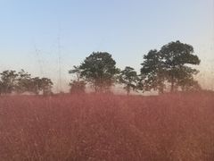 -汉长安城未央宫国家考古遗址公园