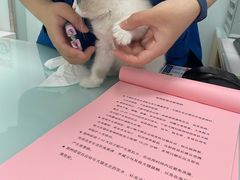 -宠福鑫康馨动物医院·骨科·眼科