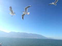 -大理洱海