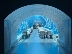 -涛·海底餐厅·美人鱼·自助餐·海底隧道(三亚海棠湾洲际度假酒店)