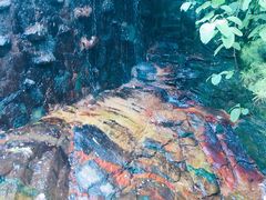 -王顺山国家森林公园