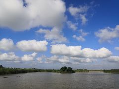 -盐城丹顶鹤湿地生态旅游区