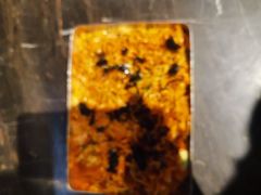 -大叹号·朝鲜族烤肉(潍坊泰华城店)