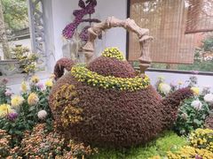 -杭州植物园