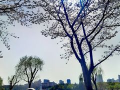 -黄兴公园