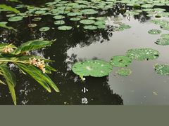 -西湖公园(鼓楼区)