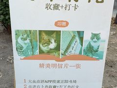 -正阳书局(西四南大街店)