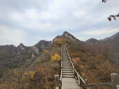 -大岭沟猕猴桃谷风景区