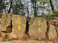 -惠山国家森林公园