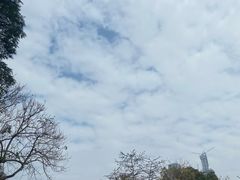 -深圳湾公园(南山区)