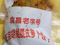 -半月镰胡姐脆皮萝卜饺子