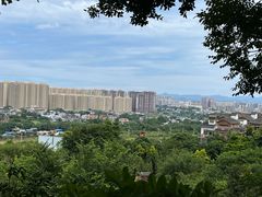 -神光山国家森林公园